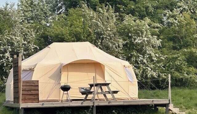 Walltree House Glamping - Cozy Glamping experience