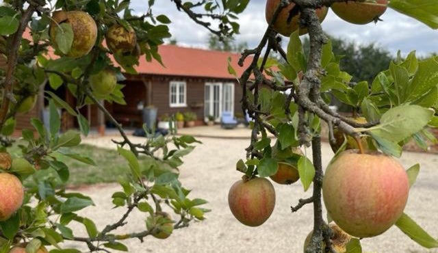 Walnut Tree Cottage Barn