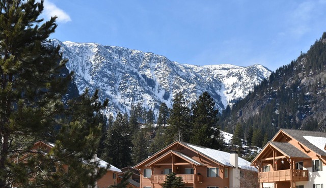 Wander into the Wonderland