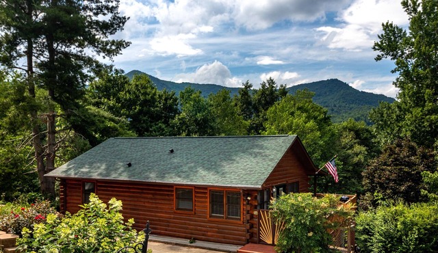 Wandering Bear Cabin w/Hot Tub & Mountain Views!