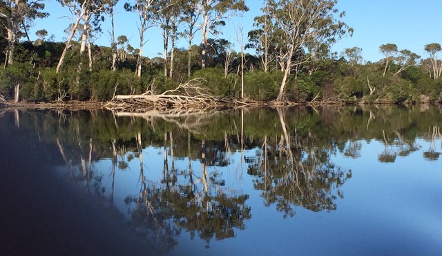 Wangrabell, on the Wallagaraugh River.