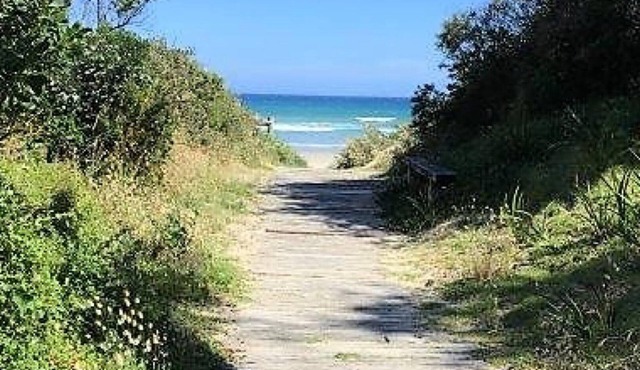 Waratah Bay Tree Tops Escape