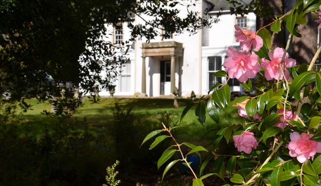 Wardlaw House - a house that sleeps 6 guests in 3 bedrooms