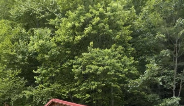 Wards Creekside Cabins 04