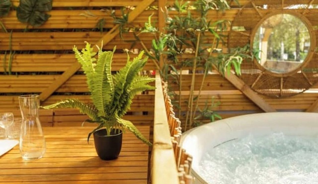 Warm barge with jacuzzi Toulouse center