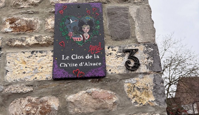 Warm stay 🛏️ Modern comfort, pets welcome 🐾✨