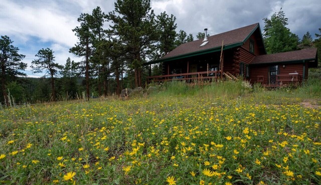 Warm Woodland Getaway with Land