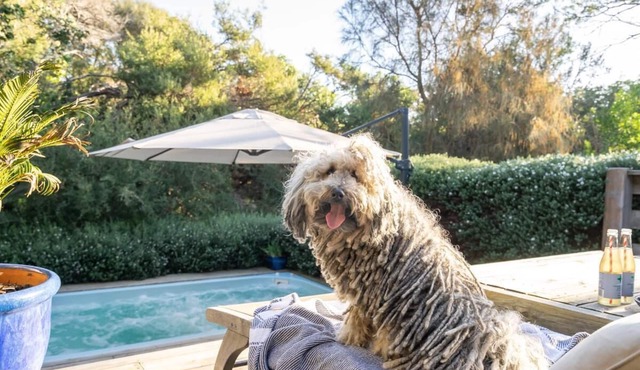 Warrawee - Quintessential Beach Retreat*