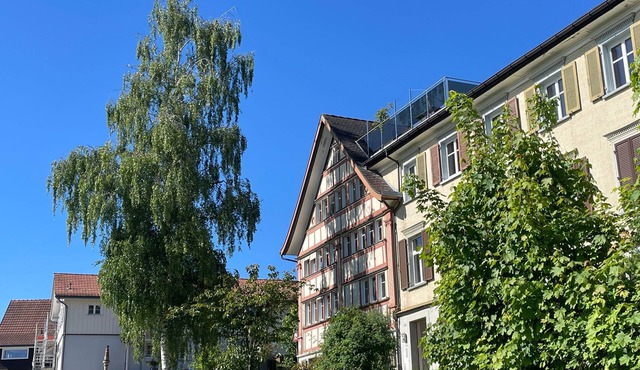Wartheim holiday flat with private terrace