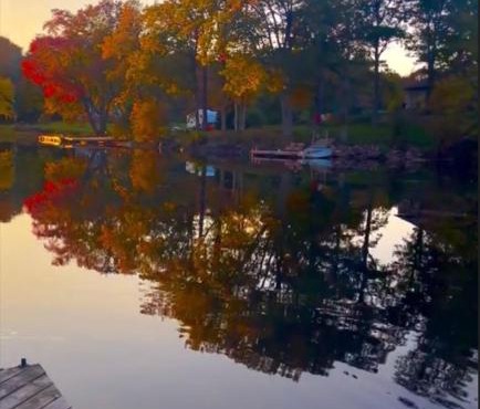 Washago Waterfront Cottage
