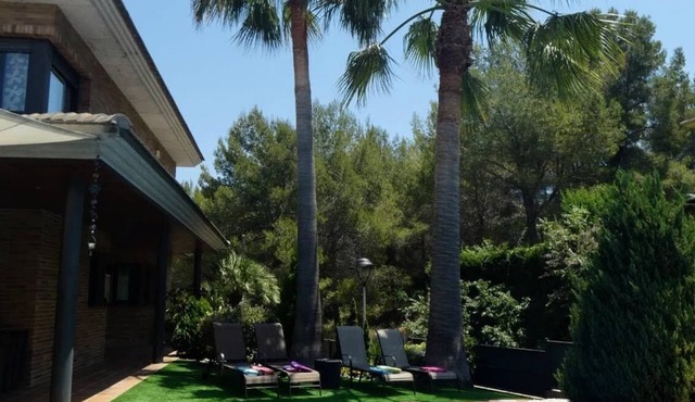 Washingtonia Villa near Sitges