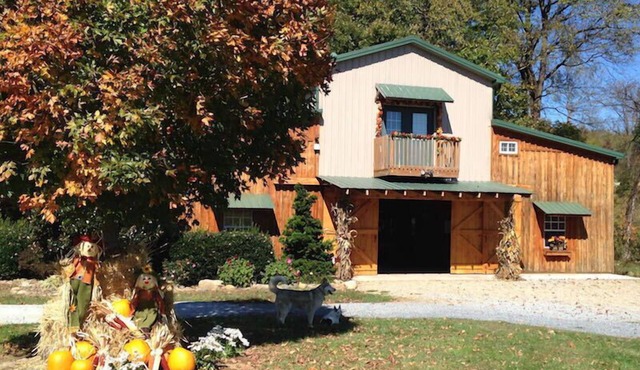 Watauga River Cabins-Laurels Cabin