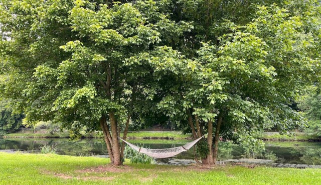 Watauga River Cottage in Johnson City, TN!