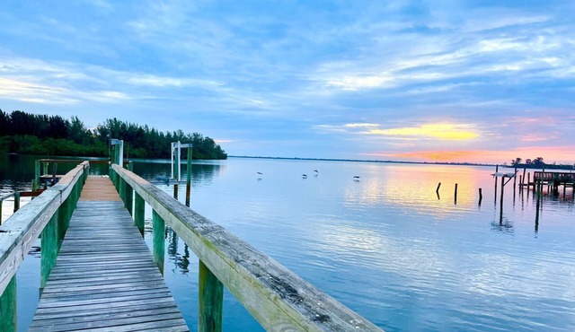 watch dolphins/manatees/birds