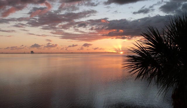 Watch SpaceX Launch from your Waterfront Balcony