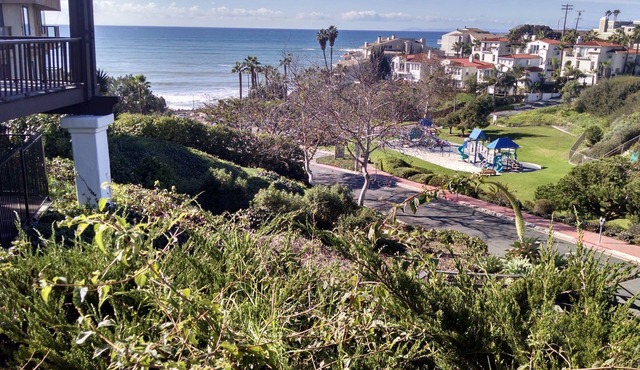 Watch the Waves Best Location Casa Azul