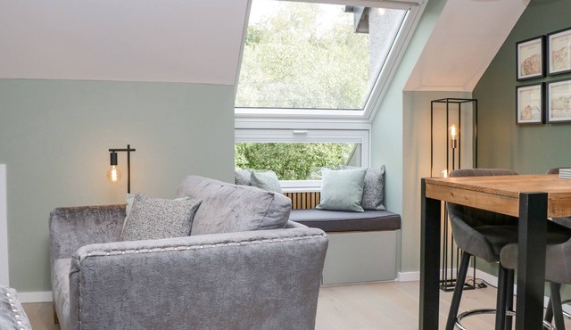 Watch Tree Apartment