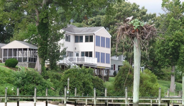 Water Front Amazing Views of Potomac and Gorgeous Sunrises and Sunsets