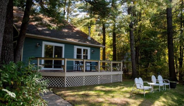 Water-Front, Au Sable River Cheerfully Updated Getaway