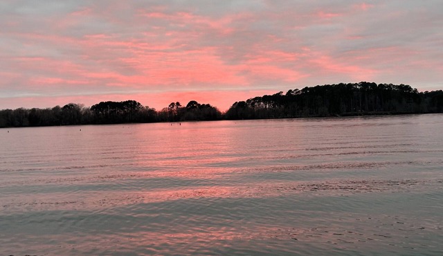 Water front fishing camp. Fisherman or birdwatchers piece of paradise.