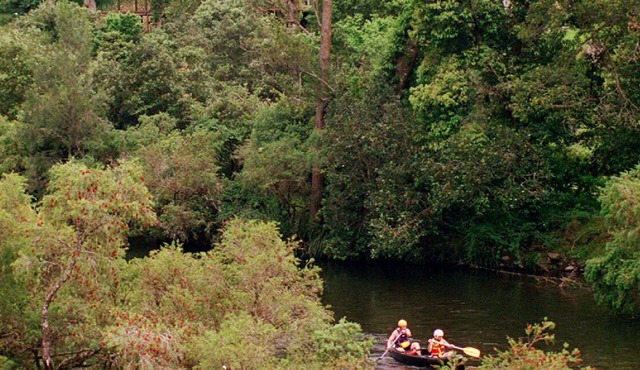 Water Gums Retreat, Barrington River, Barrington Tops area, perfect for groups