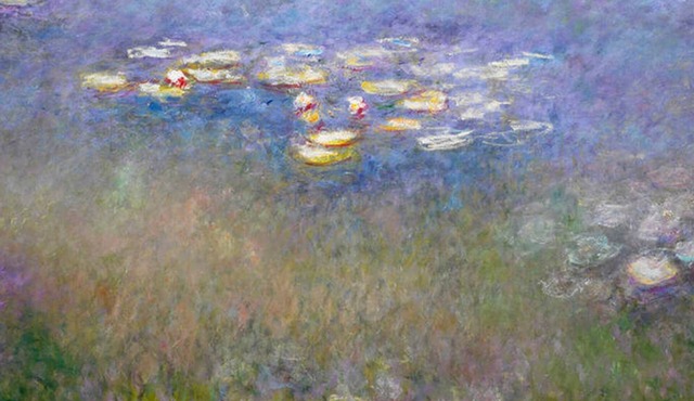 WATER LILLIES - An independant 2 bedroomed gite