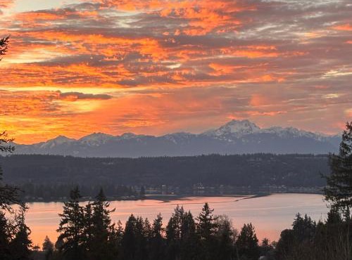 Water & Mountain Views - Family & Pet Friendly