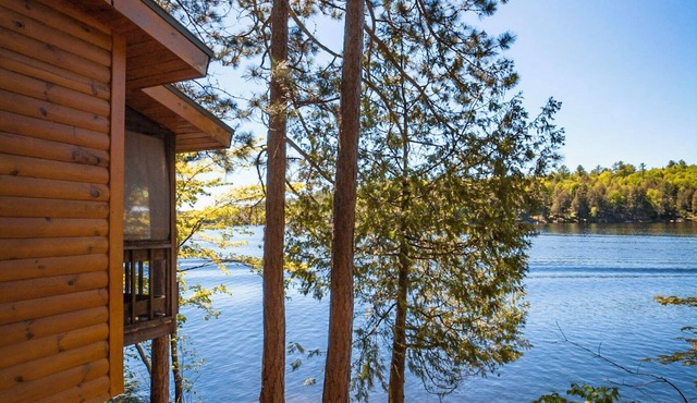 'Water's Edge' 2 bedroom cottage overhanging the lake