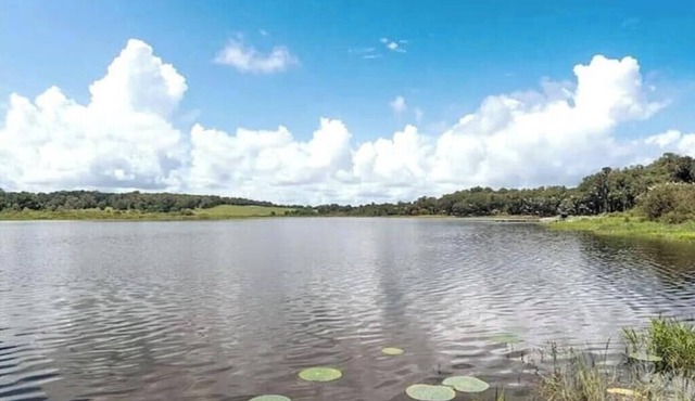 Water's Edge - a lakefront oasis. 10 peaceful, private acres w' stunning views.