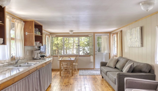 Water's Edge LAKE Cabin ~Beach~Kayaks~Wifi~SUP Board~Campfire~State Park Nearby!