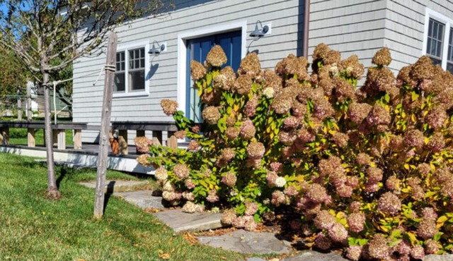 Water street Cottage - Over looking the Harbor