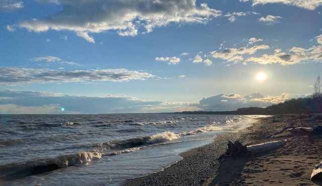 Water View Cottage - short or long term rental