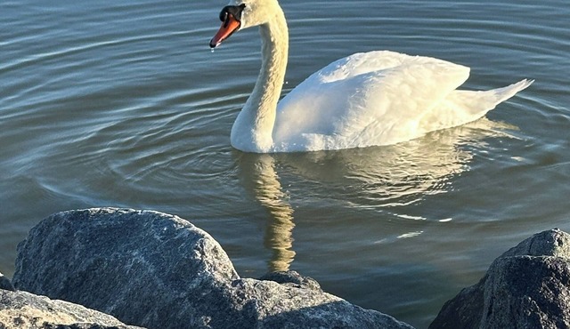 Water View Cozy Getaway- beach/fishing/pool