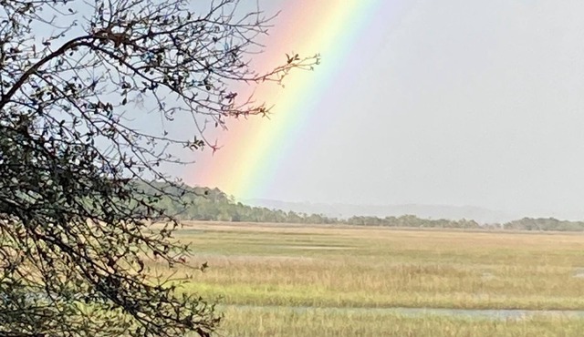Water View Palm Key & Knowles Island Area Cottage