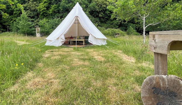 Water Vole - UK49931