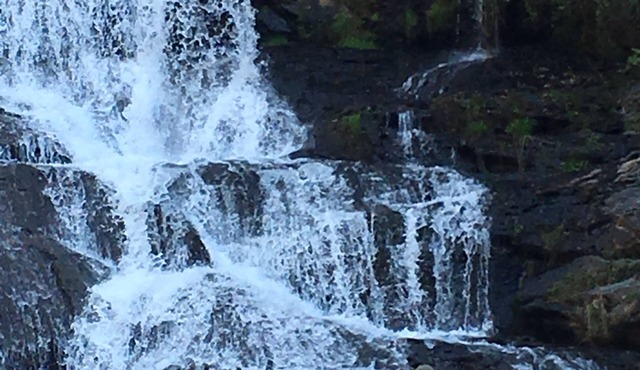 Waterfall Cottage within sight & sound of Cane Creek Falls, 2BR 2BA