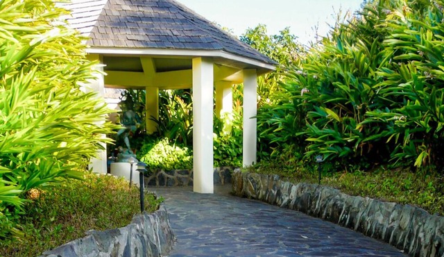 Waterfall House - Private House Overlooking the Ocean!