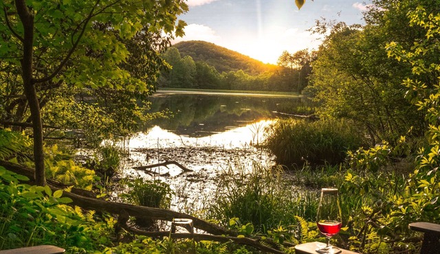 Waterfall Lake Retreat – Private Lake Access with Views, Canoes & Hot Tub!