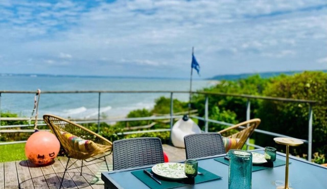 Waterfowl with their feet in the water