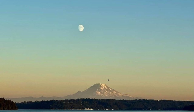 Waterfront 2 bed, 2 baths, 1364 sq ft, views of Mt Rainer, Seattle, and more.