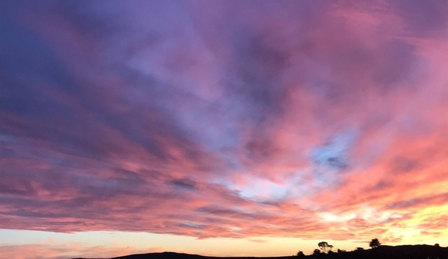 Waterfront 2 Bed-King/Queen , 2 Bath + INCREDIBLE VIEWS perched over Bodega Bay