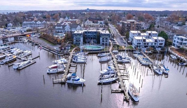 Waterfront 2-bedroom condo in Eastport, Annapolis with private parking