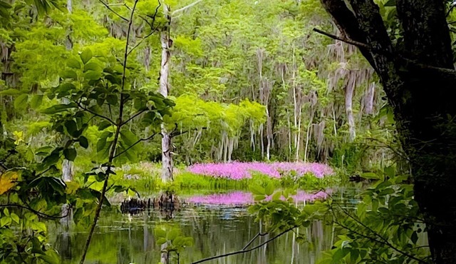 Waterfront 3-bedroom house on the Wakulla River w/Dock