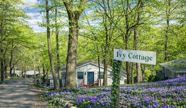 Waterfront 3-bedroom cabin 2 slip boat dock with swim deck lots of parking