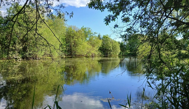 Waterfront 3-bedroom w Firepit, Game Room, ~1 mile to Foxwoods, Great Wolf Lodge