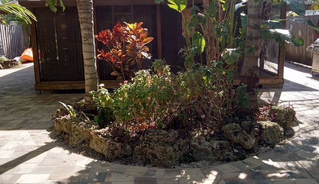 Waterfront $75 FEBRUARY Steal, kayak the Gulf, Dolphin, manatees, Hudson Beach