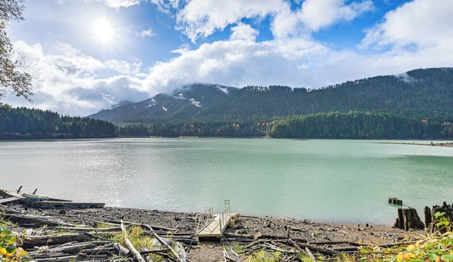 Waterfront Alder Lake Retreat: Private Deck!