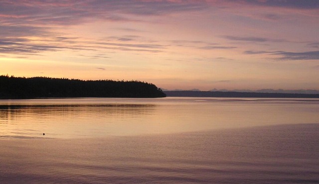 Waterfront Beach Cottage Retreat