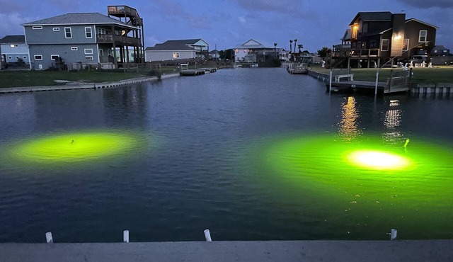 Waterfront, Boat Ramp & Dock, Decks, Kayaks, Pet-Friendly!