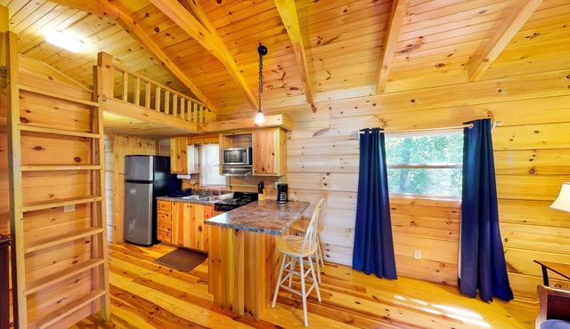 Waterfront cabin on two acres with dock and firepit